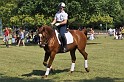 Polizeidirektion   157